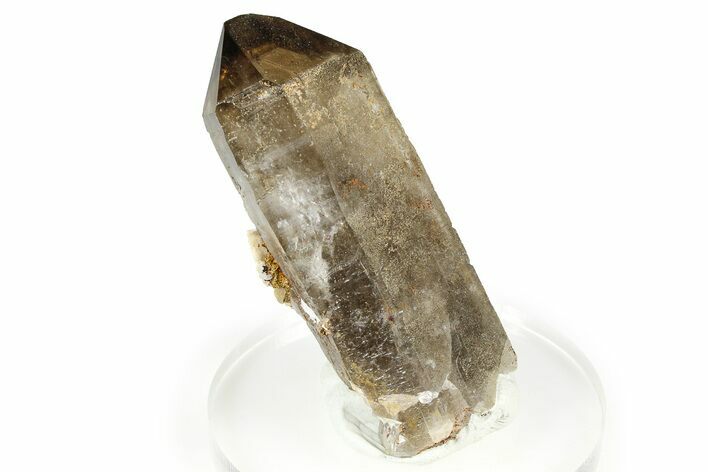 Lustrous Smoky Quartz Crystal with Feldspar - Malawi #373601